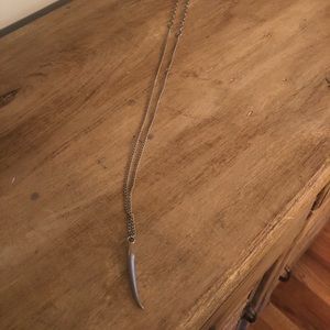 Long silver tone horn chain